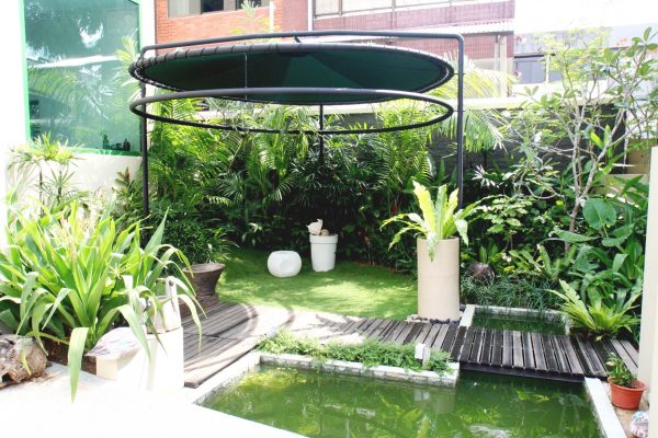 canopy